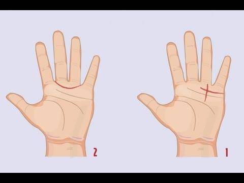 صفاتك المثيرة وحظك في الحياة.. تكشفهما خطوط كفك!