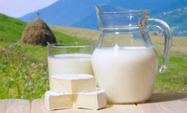 اللبن الرائب.. لن تتخيّلوا ما يحمله من فوائد صحية ومغذية