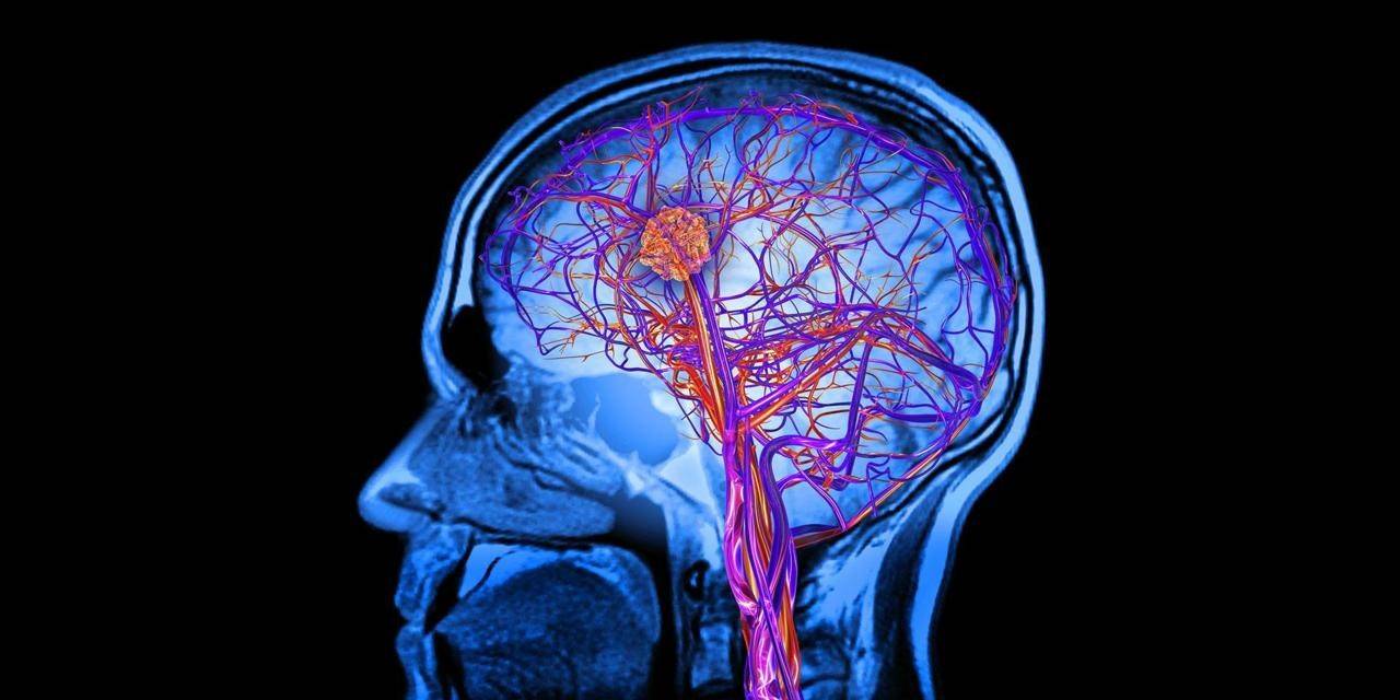 معلومة مثيرة.. العلماء يكتشفون 