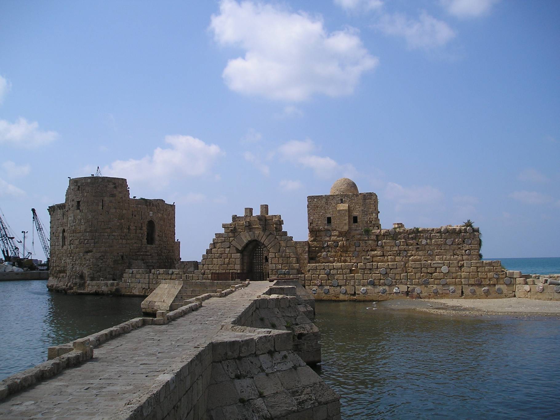 سباق نسبح بلا إدمان إلى شاطى الأمان في صيدا برعاية السعودي