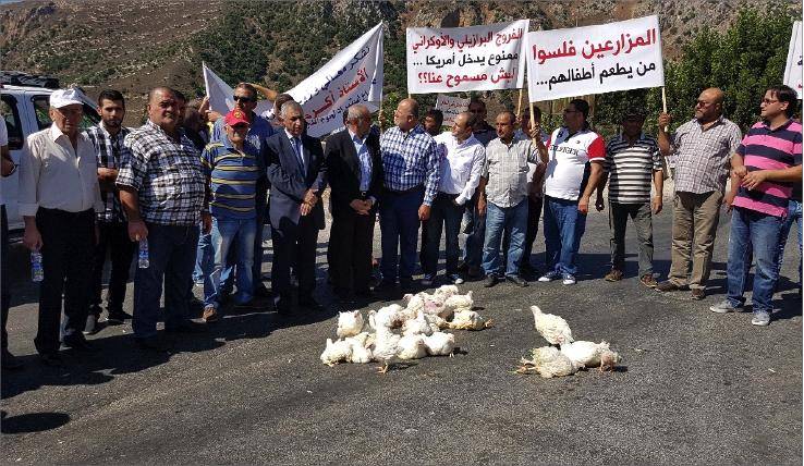 اعتصام لمربي الدواجن في المنطقة الحدودية لحماية الانتاج المحلي