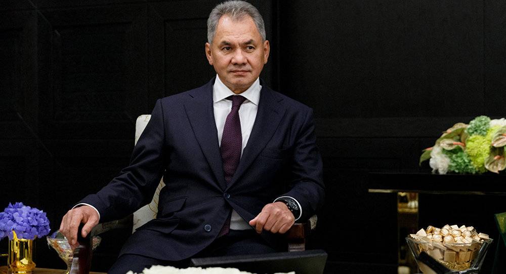 شويغو يبحث مع دي ميستورا التسوية في سوريا