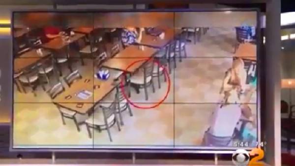 بالفيديو.. لغز مطعم تميل مقاعده وتقع من دون أن يلمسها أحد!