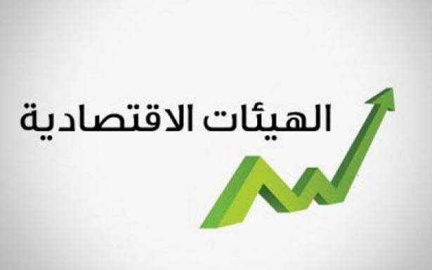 ... وغياب «صقر» آخر عن المجلس الإقتصادي