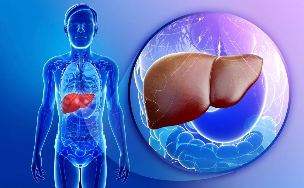 للوقاية من أمراض الكبد.. إليكم هذه العلاجات الطبيعية!