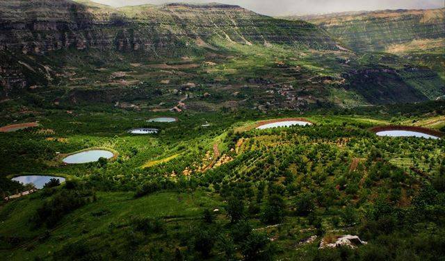 بعد مشروع 