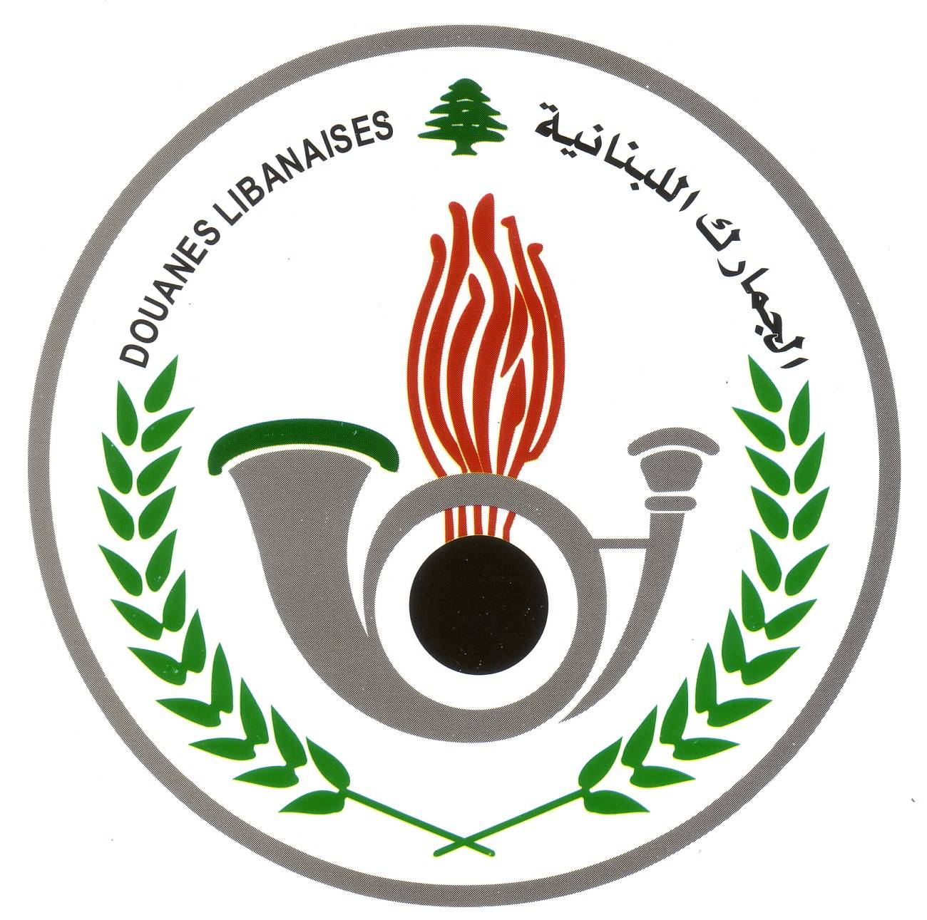 المدير العام للجمارك أوقف 2 من المخلصين الجمركيين المرخصين عن العمل بعدما تم إيقاف 9 الاسبوع الماضي لارتكابهم مخالفات (LBCI)
