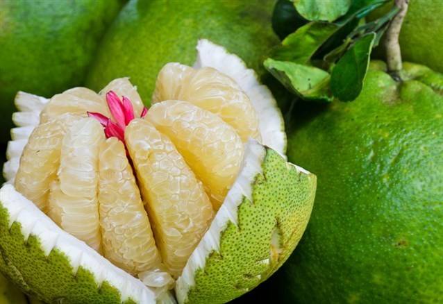 فوائد مذهلة للبوملي.. إذا عرفتها ستتناولها دائمًا