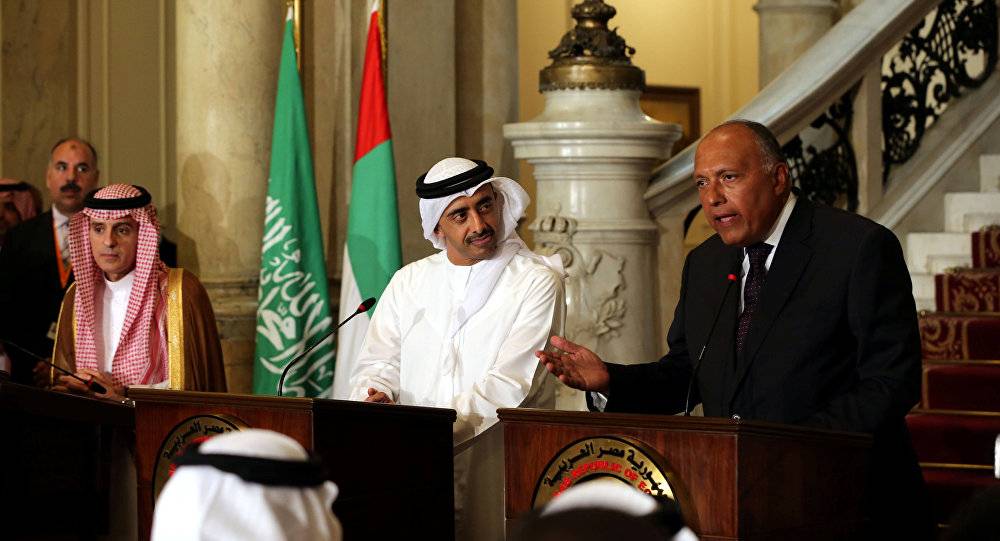 رسالة "شفهية" من السيسي إلى ولي عهد أبو ظبي