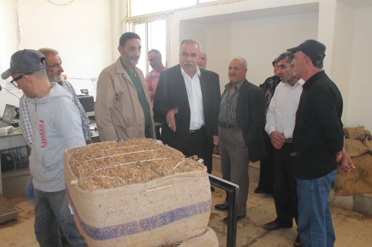 الريجي باشرت شراء محاصيل التبغ من مزارعي قضاء النبطية