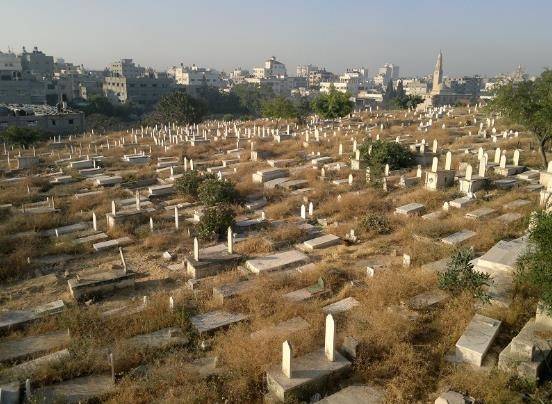 مقبرة غريبة سكانها ليسوا بشر