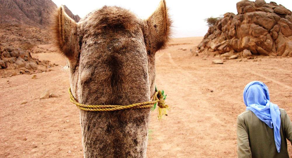السعودية تكشف عن أثر تاريخي في نجران