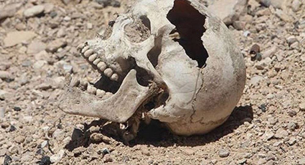 سوريا واليمن تنجوان من مشكلة عالمية تهدد الحياة