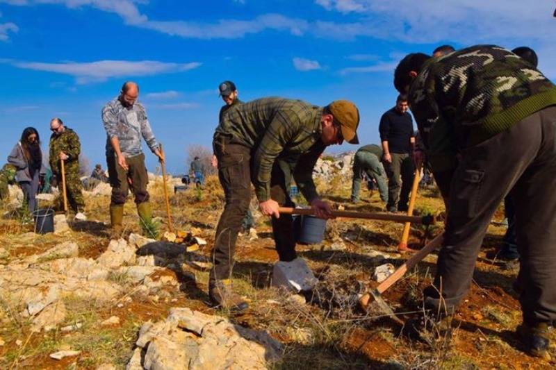 غرس 3400 أرزة في جرود اهدن