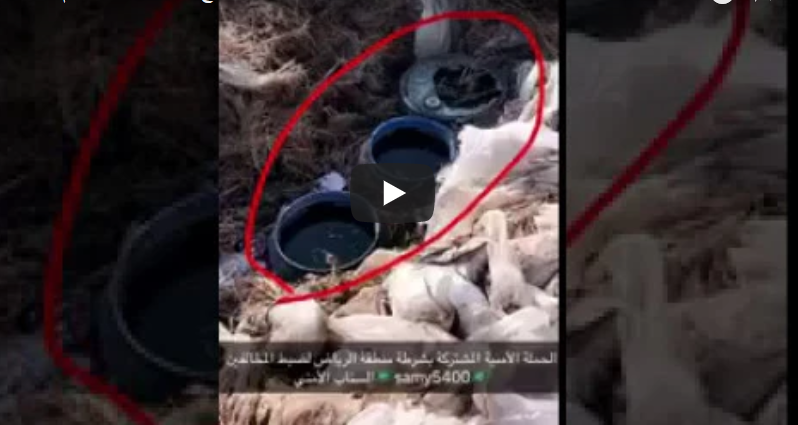 حملة "وطن بلا مخالف" تضبط مواد محظورة في الرياض (فيديو)