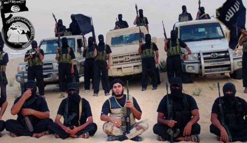مصر: إحالة 11 متهما في أنصار بيت المقدس للمفتي