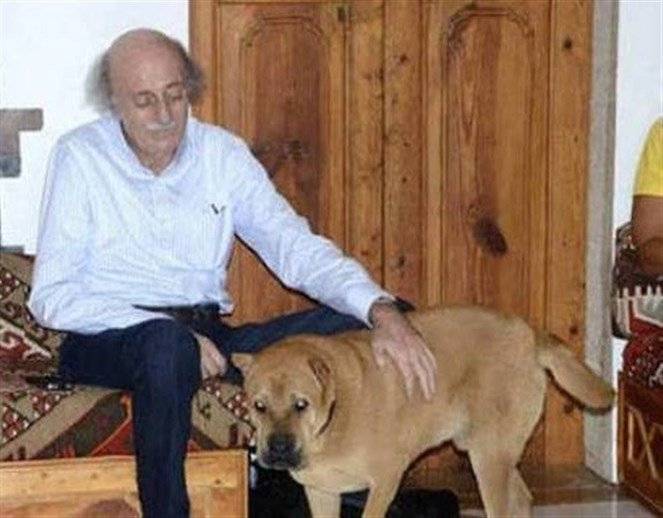 جنبلاط يغرد لـ"اوسكار"