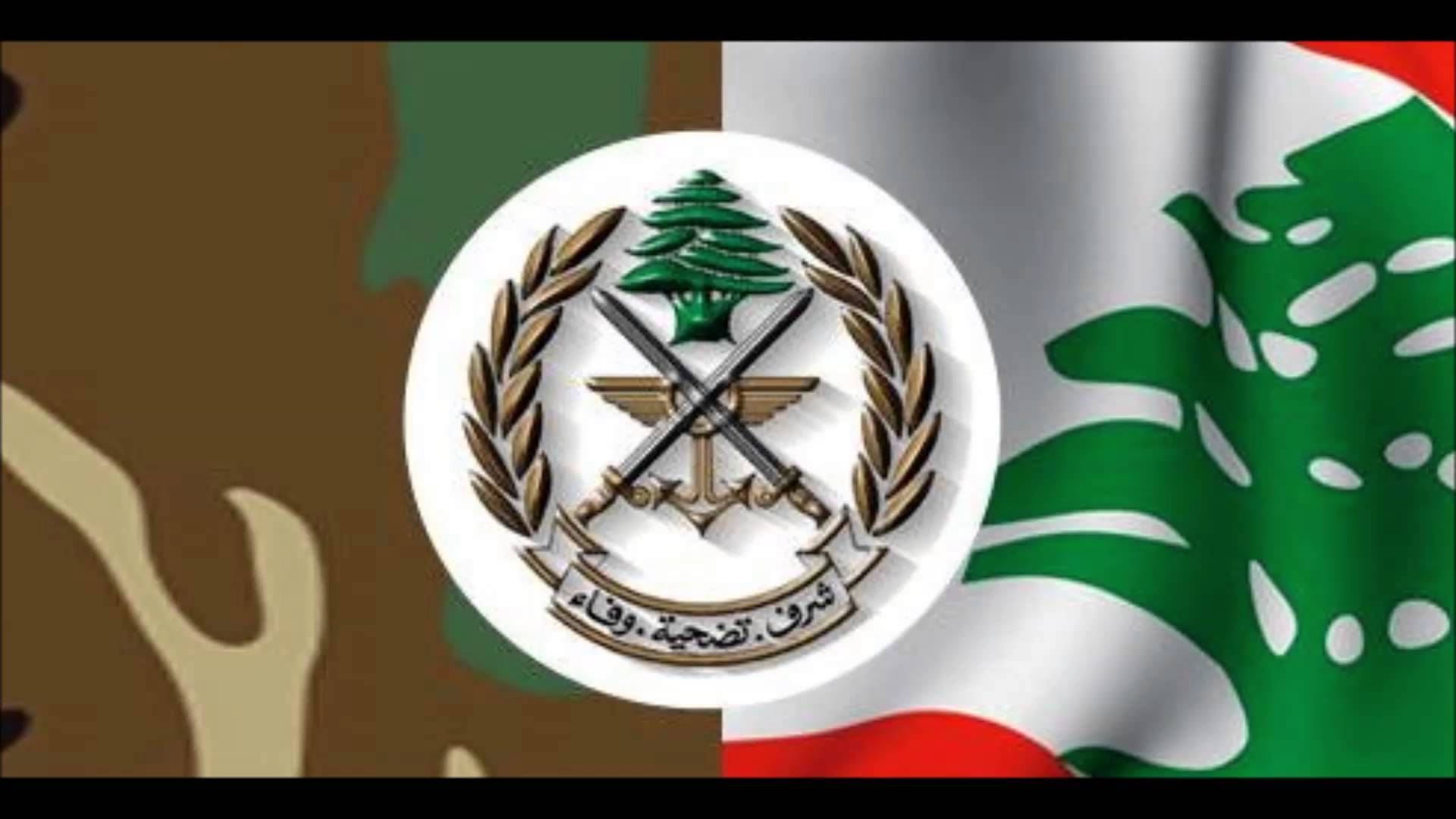 الجيش: دورية راجلة تابعة للعدو اجتازت خط الإنسحاب في خراج كفرشوبا