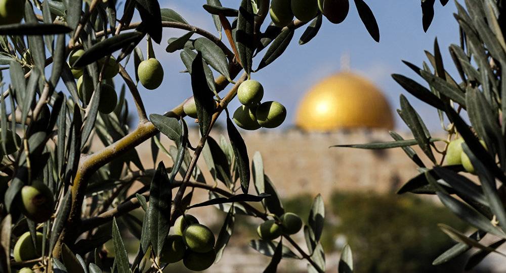 الرئيس التونسي يستدعي السفير الأمريكي بشأن القدس