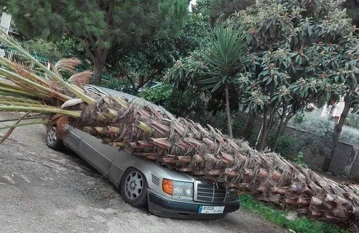 هذا ما تسببته العاصفة في طرابلس - صور