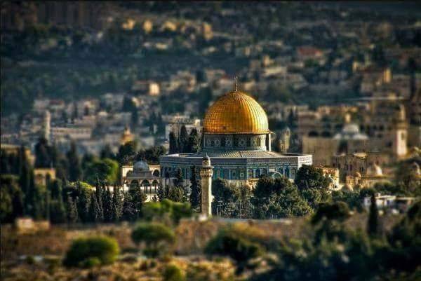 متفرّغو "اللّبنانية" دعوا لوقفة تضامنية مع فلسطين
