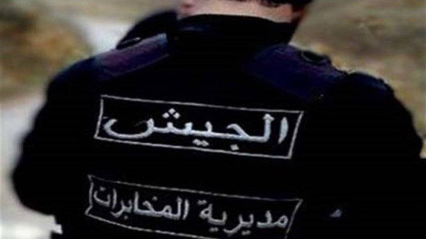 ضبط 800 كلغ من مادة حشيشة الكيف في بلدة الحمّودية البقاعيّة