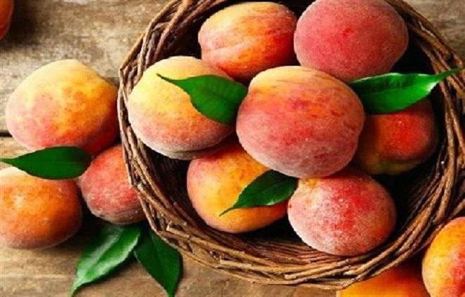 طفل معرض للموت عند تناول أي شيء غير الخوخ!