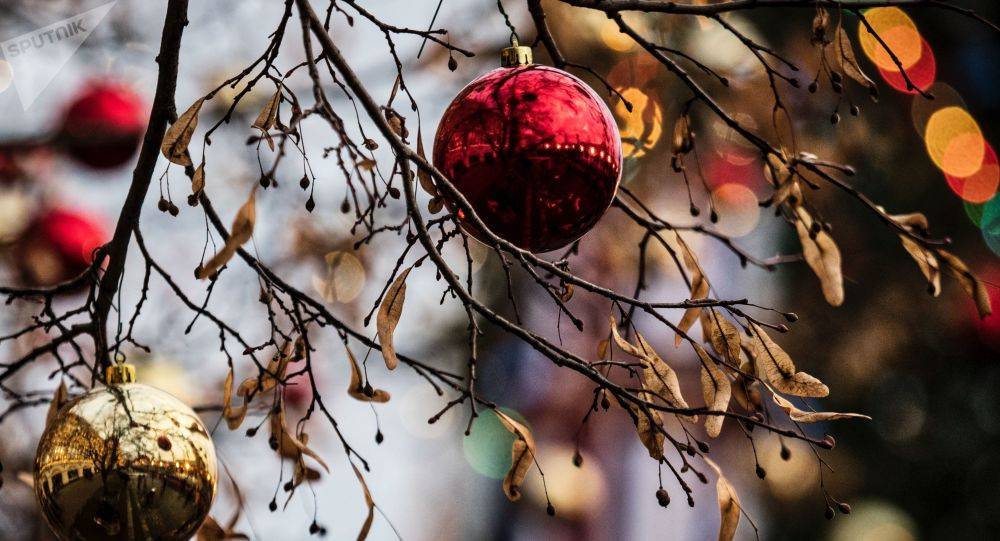 ألمانيا تكافح الإسراف في الطعام خلال عيد الميلاد بطريقة استثنائية