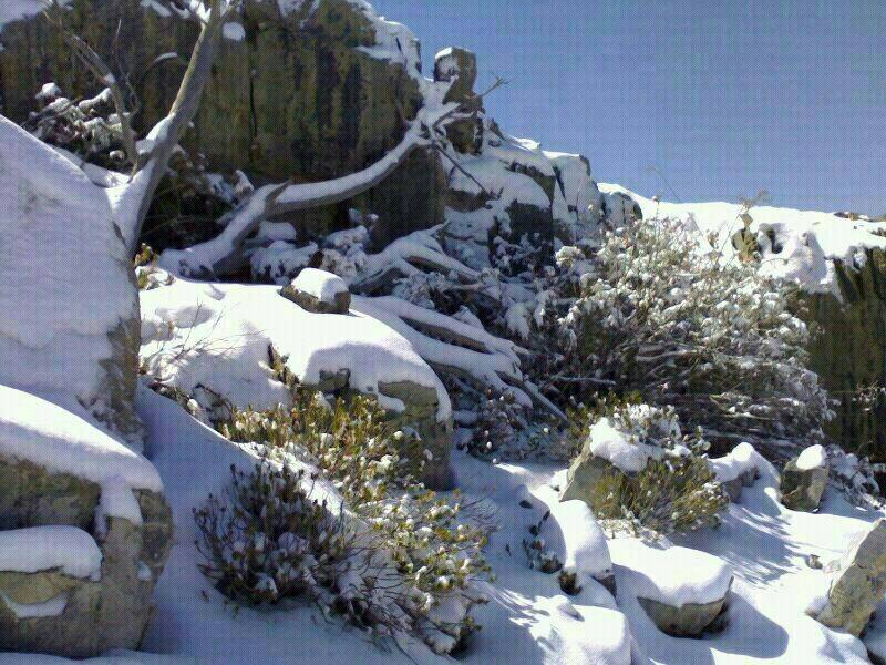 بعد منخفض "الميلاد" السريع..ماذا عن طقس رأس السنة؟