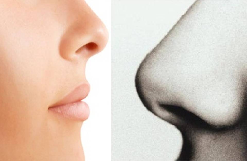 لماذا أنف الرجل أكبر من أنف المرأة؟