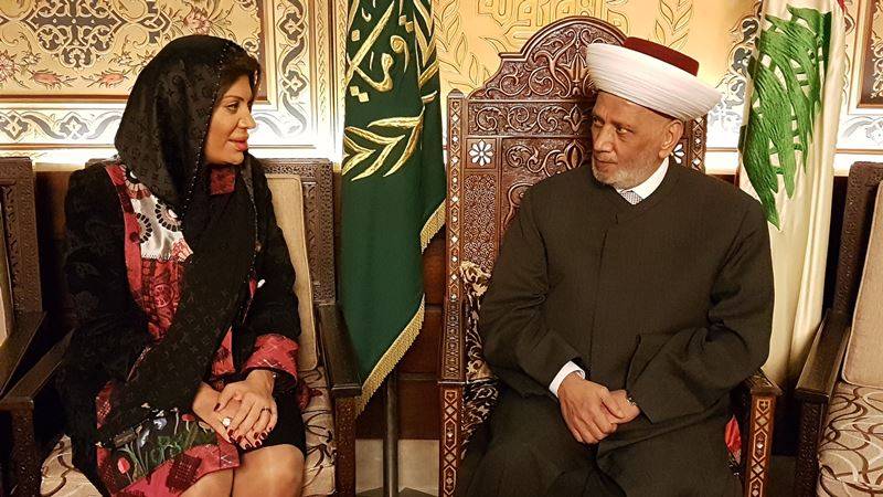 دريان استقبل السفيرة ضاهر واتصل بفيصل كرامي مواسيا بوالده