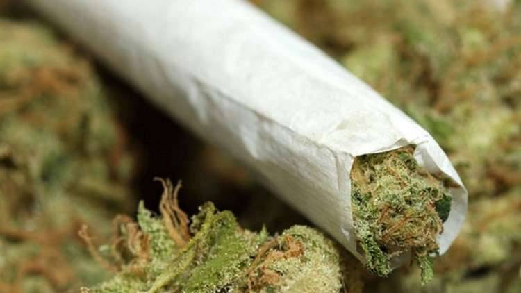 محاولات فاشلة لتهريب نصف طن من الحشيش المخدر إلى السعودية