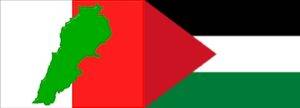 الديمقراطي يدعو لوقفة تضامنية مع فلسطين السبت في عاليه