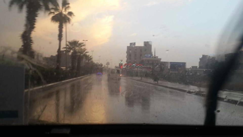 سقوط شجرة نخيل عند مدخل صيدا بسبب الرياح