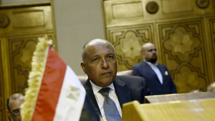 وزير الخارجية المصري: مصر ستحارب المقاتلين الأجانب في إفريقيا
