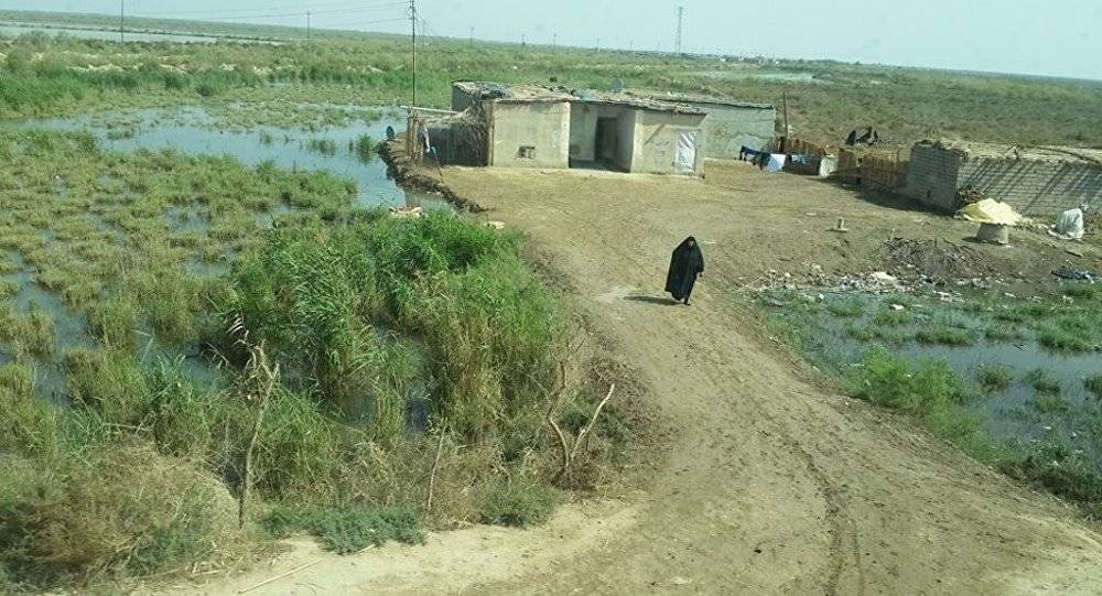 تلوث الهواء يقتل 750 ألف شخص في ريف هذه الدولة
