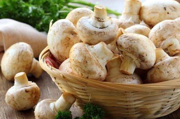 لهذه الأسباب.. تناول 5 حبات من الفطر يومياً!
