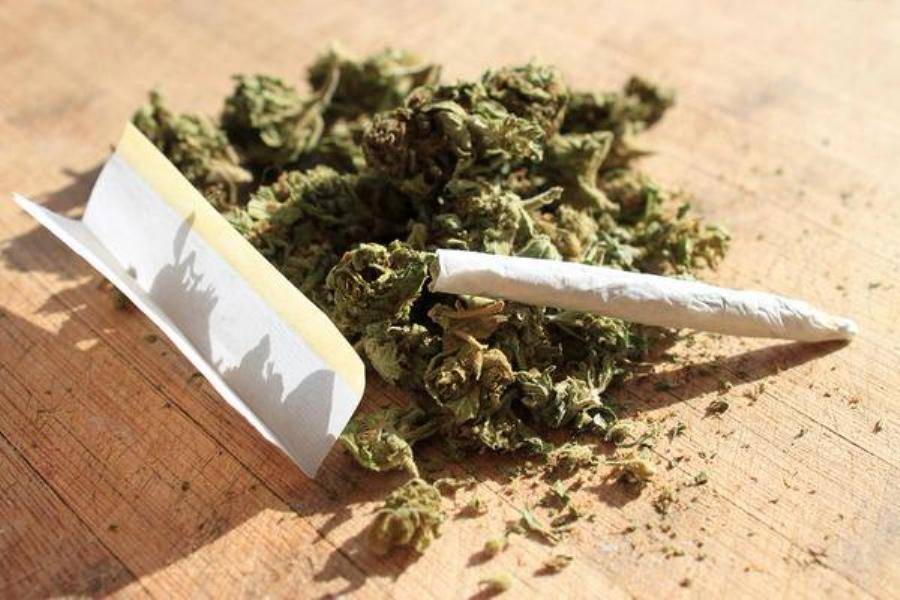 ضبط كمية من مادة الحشيشة في منطقة الهرمل