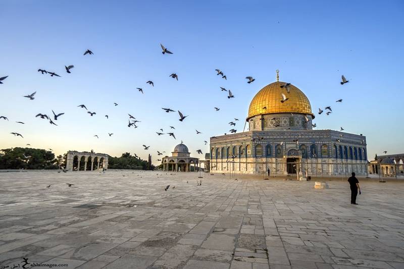 "القدس" "عاصمة" "فلسطين"... ثلاثة توائم في غزة - صورة