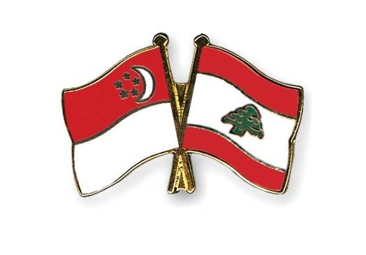 بين سنغافورة ولبنان... فرق في الأدمغة