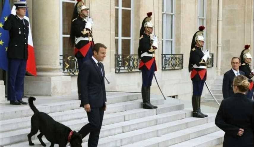 بالصور.. لبنانية تخطف الأنظار في قصر الإليزيه