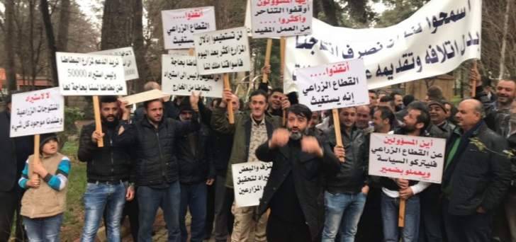 مزارعو البطاطا نفذوا اعتصاما برياق وطالبوا بوقف استيراد البطاطا الأجنبية