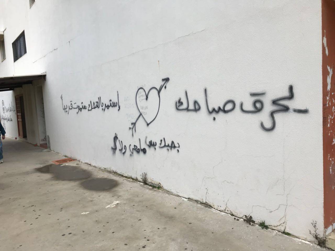 خاص- بالصور: عبارات ورسوم على جدران ادارة ثانوية القلمون