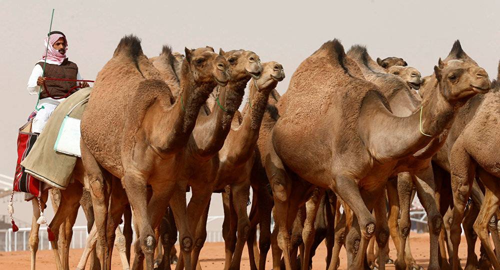 "سر محير" عمره أكثر من 2000 عام في صحراء السعودية