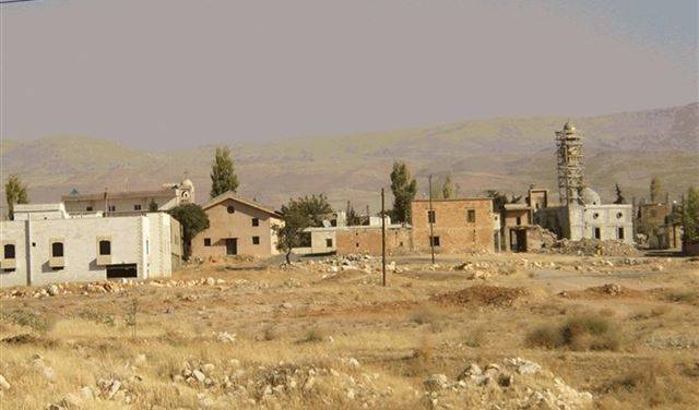 خاص-انتشار عدوى الحبة الحلبية في محافظة بعلبك