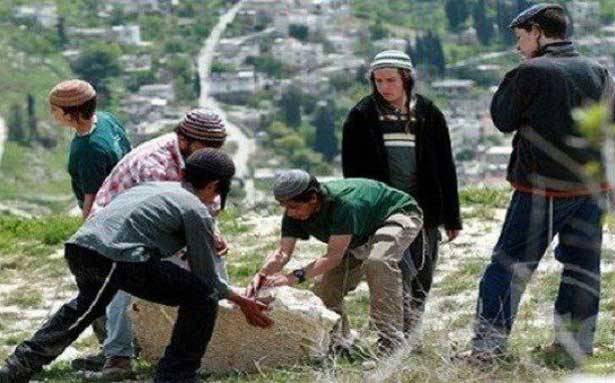 مُستوطنون يعتدون على مُمتلكات فلسطينيين في نابلس