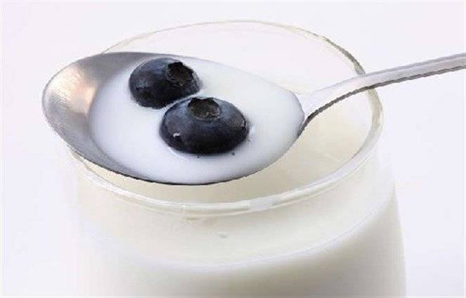 فائدة الزبادي.. حقيقة أم أسطورة؟