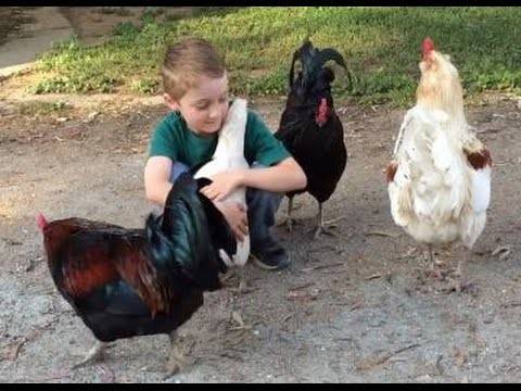 صدق أو لا تصدق.. مراهق يبيض كالدجاجة ويصدم الاطباء!