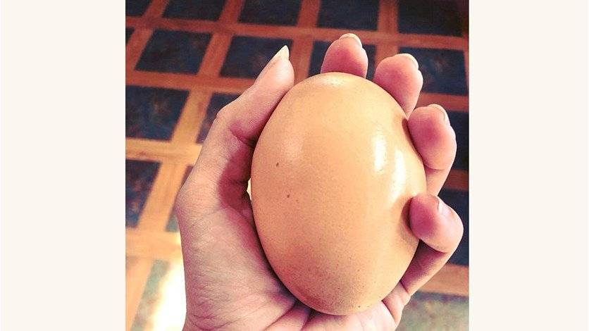 بالصور- بيضة ضخمة بحجم اليد... لن تصدّقوا ماذا يوجد في داخلها!