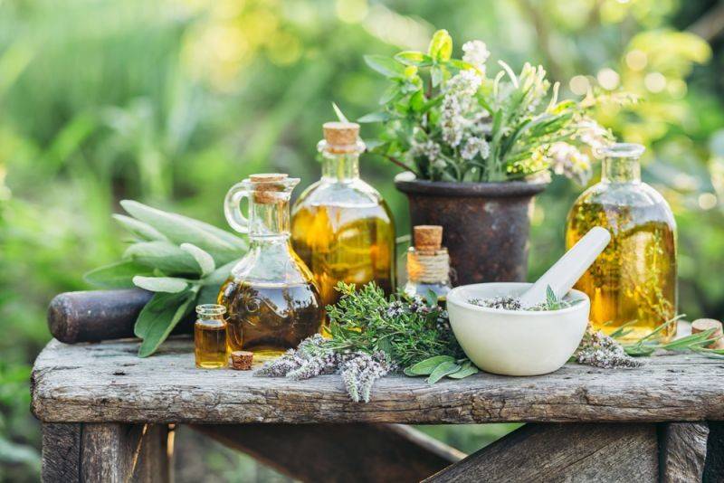 7 أعشاب تأثيرها مذهل على الإلتهابات